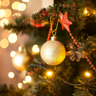 lightning-up-the-christmas-tree-ceremony-2025