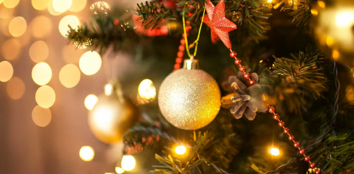 lightning-up-the-christmas-tree-ceremony-2025